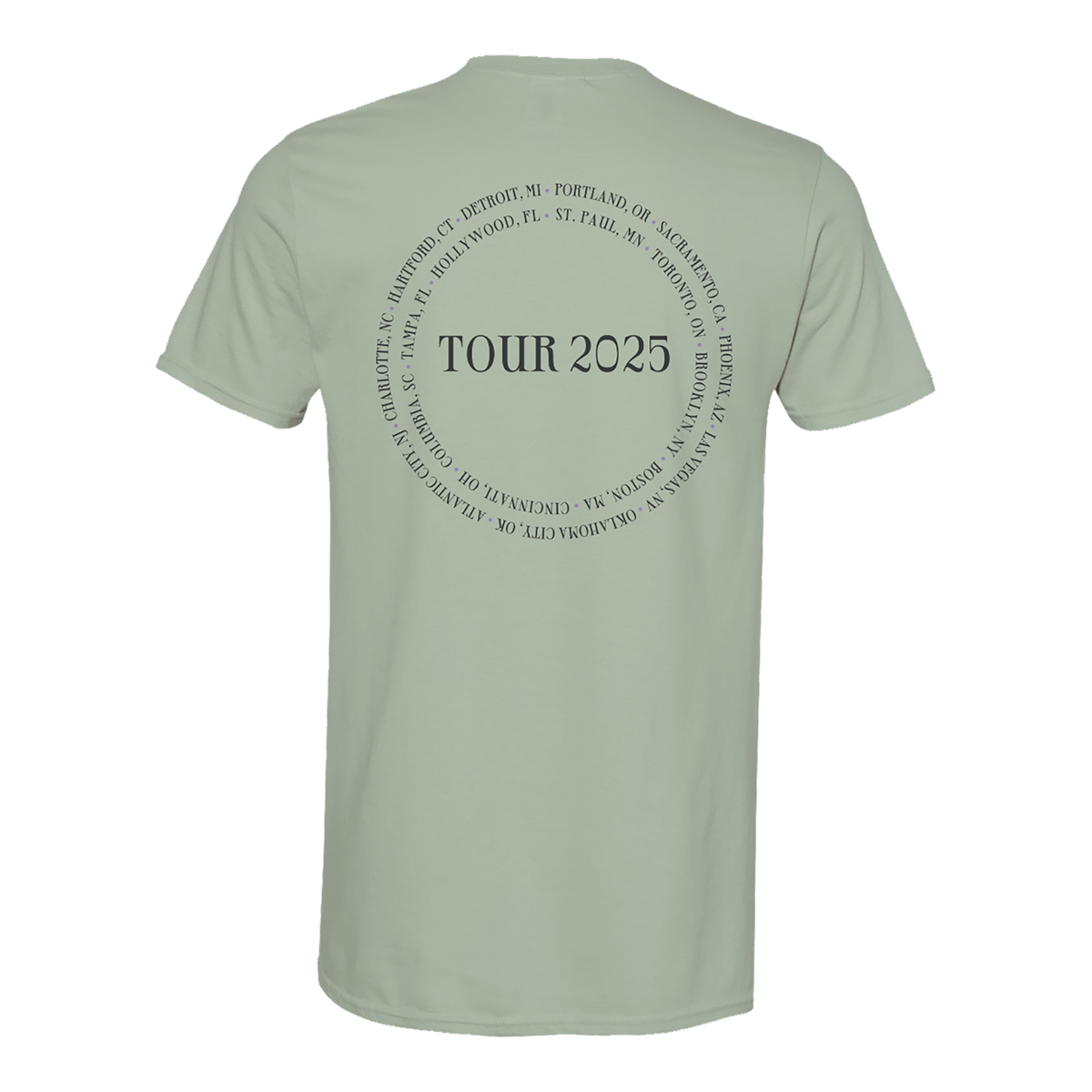 Stevie Nicks Tour 2025 Tambourine Tee